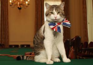 Premier ministre UK : Le Souricier en chef du Cabinet