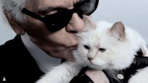 Léguer à un animal