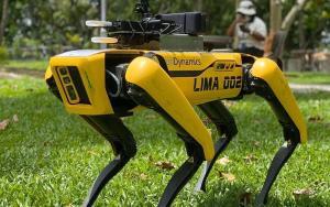 Singapour, un chien-robot patrouille