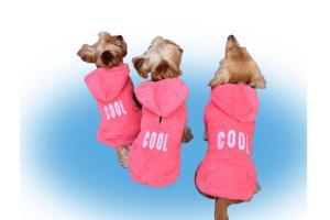 Le manteau pour chien