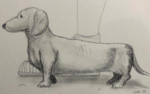 Les restes d&rsquo;un petit chien de compagnie romain retrouvés