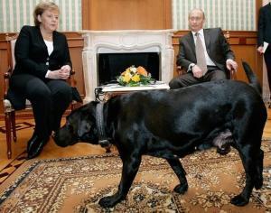 Poutine était au courant de la peur des chiens d’Angela Merkel