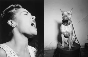 Personnalités et leurs chiens: Billie Holliday