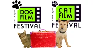 New York : Festivals de films pour chiens et chats