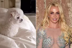 Britney Spears achète un adorable bikini deux pièces pour Snow
