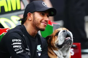 Roscoe célèbre son 11e anniversaire dans une fête mémorable