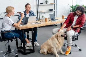 Italie : Chiens au bureau, un meilleur climat de travail