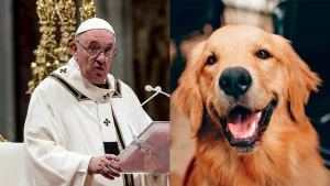 Le pape François a des inquiétudes sur les animaux de compagnie