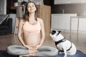 Quand le sixième sens canin détecte la grossesse : Comment les chiens perçoivent les changements hormonaux