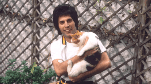 Freddie Mercury et ses félins : Une histoire d&rsquo;amour inconditionnel