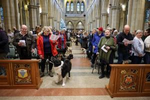 Messe à la Cathédrale de Truro avec les animaux