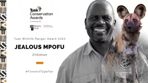Le « Tusk Conservation Awards » et les chiens peints