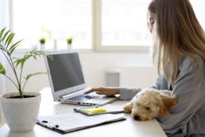 Entre Congés « Pawternity » et Bureaux « Dog Friendly »