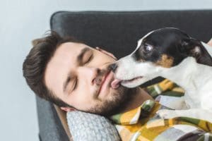 Les risques du léchage canin sur le visage