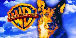 Comment Rin-Tin-Tin, le chien star, a sauvé Warner Bros de la faillite il y a 100 ans