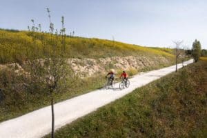 L&rsquo;épopée de Monte, le chien errant qui a conquis le monde en suivant un couple de cyclistes