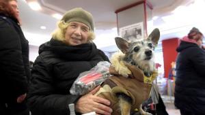Berliner Tiertafel : Aide les personnes en précarité et leurs chiens