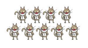 Décryptage des neuf vies du chat