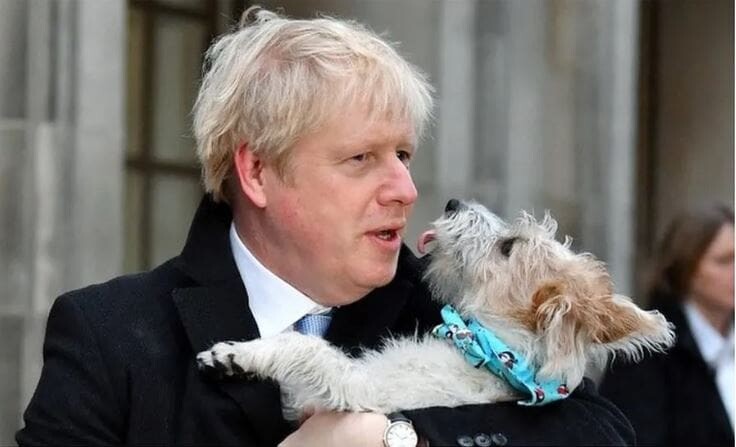 Boris Johnson et son chien Dilyn