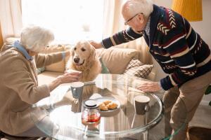 Maisons de retraite en France : Adoption de la loi « Bien Vieillir » qui autorise les animaux