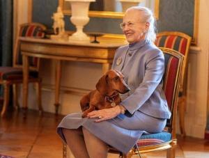 Danemark : Le Teckel royal Tillia en vedette dans une vidéo de vacances (de Noël)