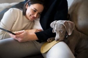 Entre congés pour « Pawternity » et bureaux « Dog Friendly »