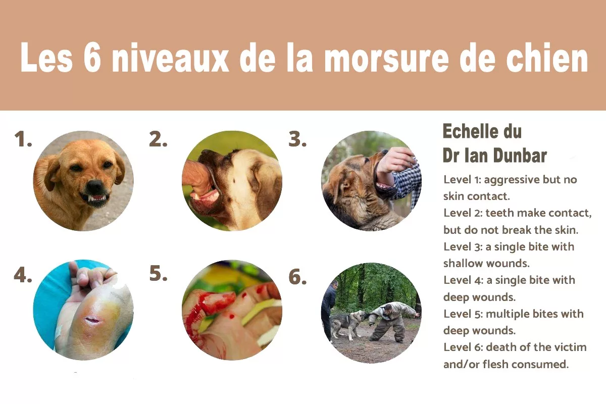 Guide pratique pour les premiers secours — free download