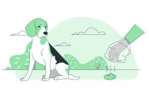 Écologie et crottes de chien : Compostage possible