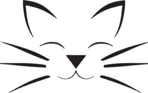 Décrypter le langage corporel des chats : mordre, griffer et lécher