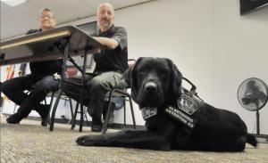 Les chiens renifleurs d&rsquo;électroniques de la Police de New York