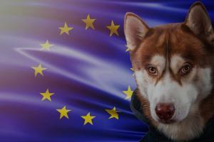 Vers un meilleur bien-être animal dans l’UE