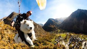 Jennifer Garner le parachutisme canin avant neuf ans