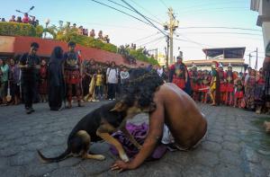 Un chien réconforte l&rsquo;acteur de Jésus sur la Via Crucis