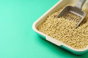 Pellets de bois : Une alternative économique pour la litière des chats
