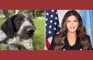 La favorite au poste de vice-présidente de Trump, Kristi Noem, avoue avoir tué sans regret un chien