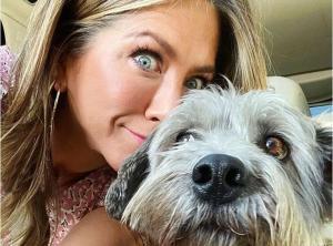 Jennifer Aniston et ses chiens