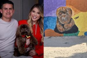 Controverse autour des peintures de chiens à Manaus