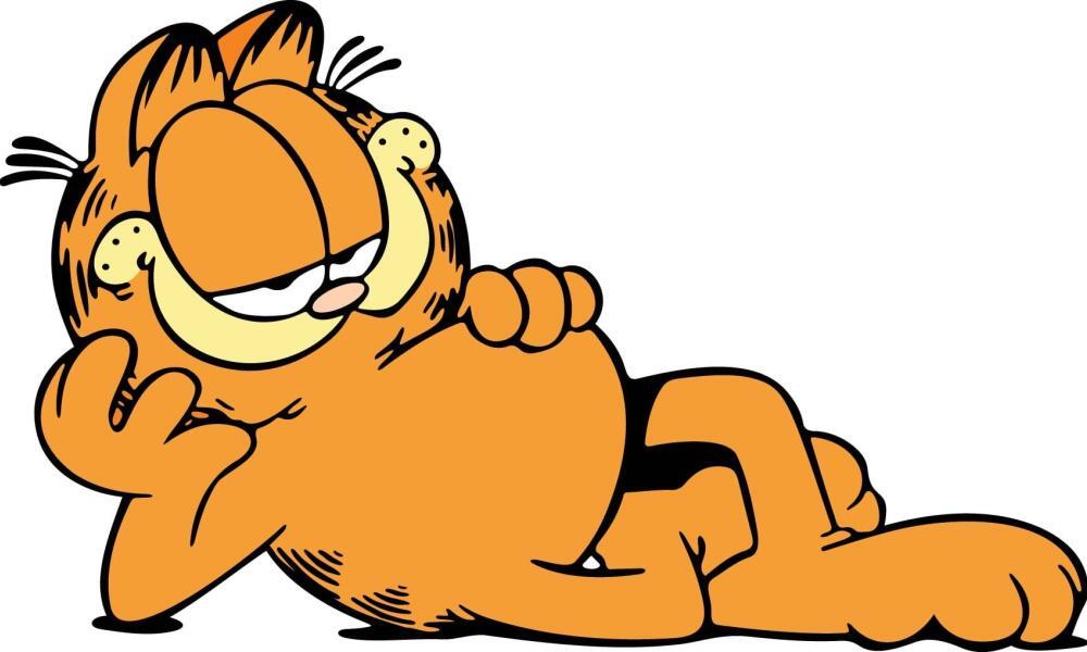 Concours de chats en Malaisie : trouver le sosie de Garfield - Les News ...