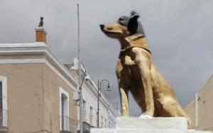 La Maison du chien à Puebla