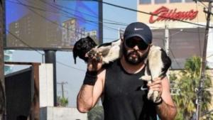 Controverse autour d&rsquo;un marathonien lors de la course de Tijuana et d&rsquo;un chien blessé