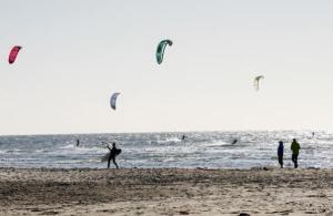 Vacances d’été avec votre chien à Rømø