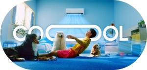 Climatisation et animaux : précautions et dangers