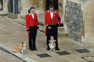 Sarah Ferguson et les corgis de la reine : une belle amitié