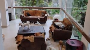 Les résidences canines en Andalousie