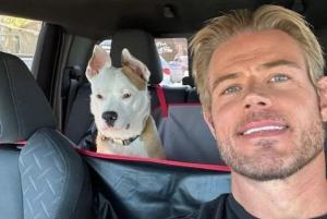 Attention au xylitol ! : Un incident terrifiant avec Roscoe