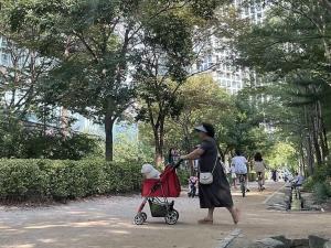 Les chiens au cœur de la société sud-coréenne
