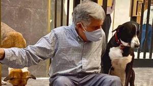 Ratan Tata et son lien spécial avec les chiens