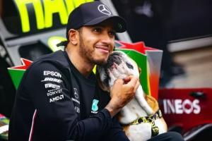 Lewis Hamilton : le régime végétalien transforme son chien Roscoe