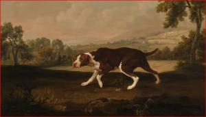 Une peinture de chien de George Stubbs estimée à 2,5 millions